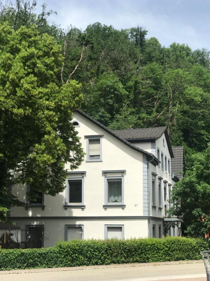 S-Villa Apartments Im Schwarzwald Schiltach Exterior photo